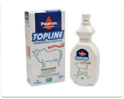 Topline